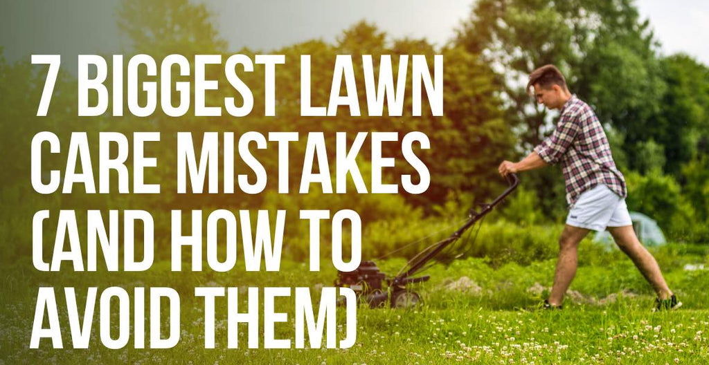 7 Common Mistakes to Avoid When Caring for Your Lawn in Australia