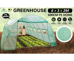 Home Ready Dome Hoop Tunnel Greenhouse 6 x 3 x 2M Walk-in Greenhouse